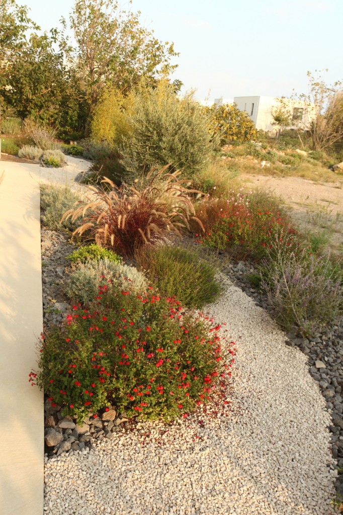 jardin sec