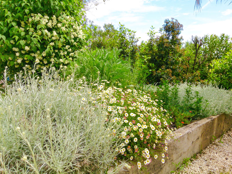 plantes jardin-sec