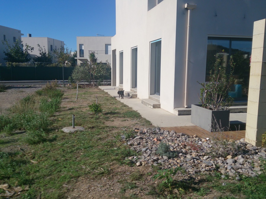 jardin sec avant